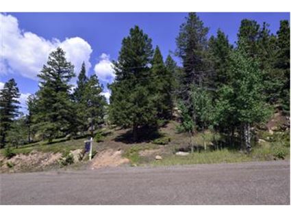 30271 Kings Valley East, Conifer, CO Main Image