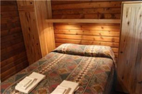 130 County Road 742 Cabin 18 Three Rivers Resort, Almont, CO Image #9963570