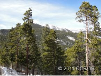 photo for 30328 National Forest