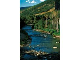 Tract 3, Reserve on East River, Crested Butte, CO Main Image