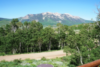 251 Neville Way, Crested Butte, CO Image #9966243