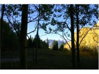 Lot 37 Red Mountain Ranch, Crested Butte, CO Image #9966356