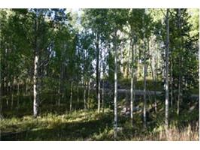 Lot 37 Red Mountain Ranch, Crested Butte, CO Image #9966358