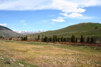 852 Hidden River Ranch Road, Crested Butte, CO Image #9966428