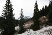 795 County Road 826A Irwin Townsite, Crested Butte, CO Image #9966464