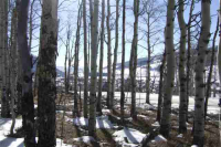 43 Gloria Place Lot 26, Blk 26, F4, Crested Butte, Crested Butte, CO Image #9966496