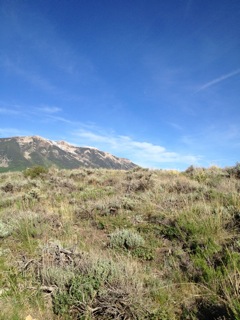 45 Janet Place Lot 9, Blk 22, F3, CB South, Crested Butte, CO Main Image