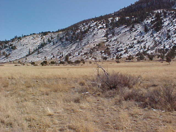 0390 Shoshone Trail, South Fork, CO Main Image