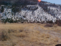 0390 Shoshone Trail, South Fork, CO Image #9966933