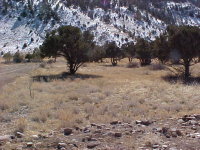 0390 Shoshone Trail, South Fork, CO Image #9966935