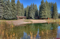 19007 CR 501, Vallecito Lake/Bayfield, CO Image #9969489