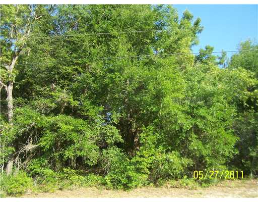 1964 SNOWY EGRET PL, LOT 9, CITRUS SPRINGS, FL Main Image