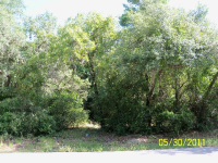 photo for LOT 47 AND LOT 48 LATINA AVE