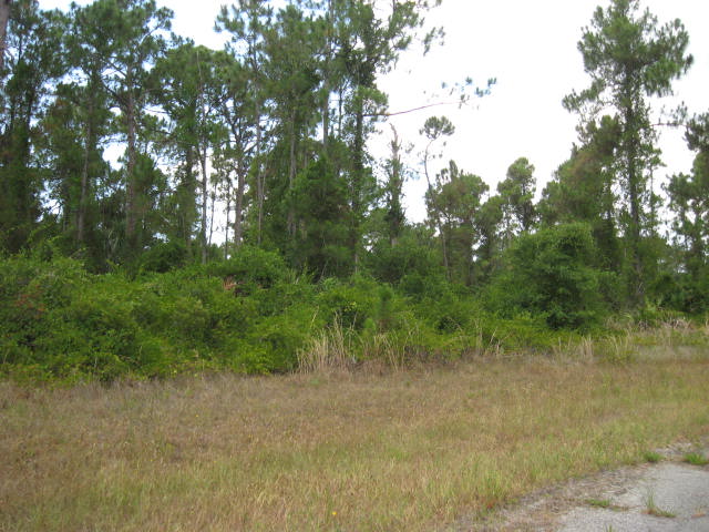 Lot 2 Ewen, North Port, FL Main Image