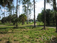 photo for 123 Loblolly Bay