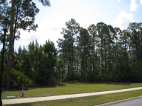 photo for 1095 HAMPSTEAD LN, LOT 66