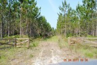 photo for LOT 19 OTTER CREEK