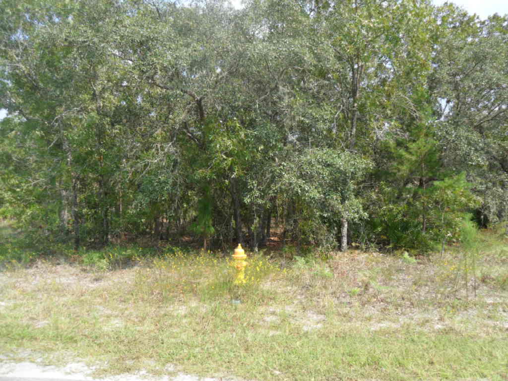 41 SWEETGUM, HOMISASSA, FL Main Image