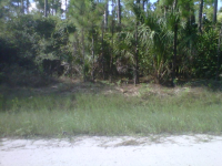 photo for 16661 88TH RD N