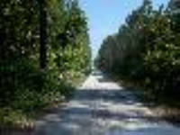 176 Jule Road, Apalachicola, FL Image #2999408