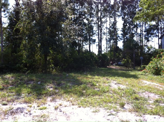 3505 30 ST SW, LEHIGH ACRES, FL Main Image