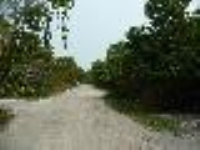 30550 17th Street, Big Pine Key, FL Image #3025306