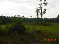 122 Ariana Cv, Crawfordville, FL Image #4117669