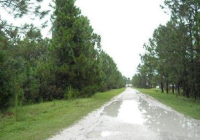 950 Shellcrackers Road, Mims, FL Image #4677370