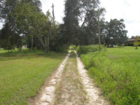 11802 Weaver Lane, Thonotosassa, FL Image #4677885