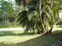 27500 Suffridge Dr, Bonita Springs, Florida  Image #4837754