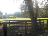 1805 Ne 132nd Place, Sparr, Florida  Image #4863232