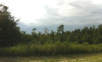 photo for Vacant Land Parcel 07-5s-16-03487-0