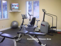 6709 N KENDALL DR # 217, Pinecrest, Florida Image #5218621