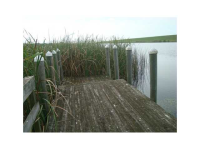 16250 Sw Conners Hwy, Canal Point, Florida  Image #5453956