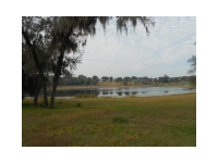 309 8th St N, Dundee, Florida  Image #5454248