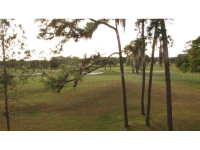 2400 Feather Sound Dr Apt 223, Clearwater, Florida  Image #5472982