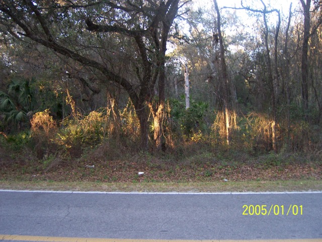 Tbd 155th Street, Dunnellon, FL Main Image