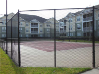 9404 Crescent Loop Cir Apt 7, Tampa, Florida  Image #5682125