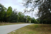 11041 N Tigerwood Terr, Citrus Springs, FL Image #6000921
