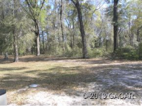 17003 Nw 255th Ter, High Springs, Florida  Image #6145928