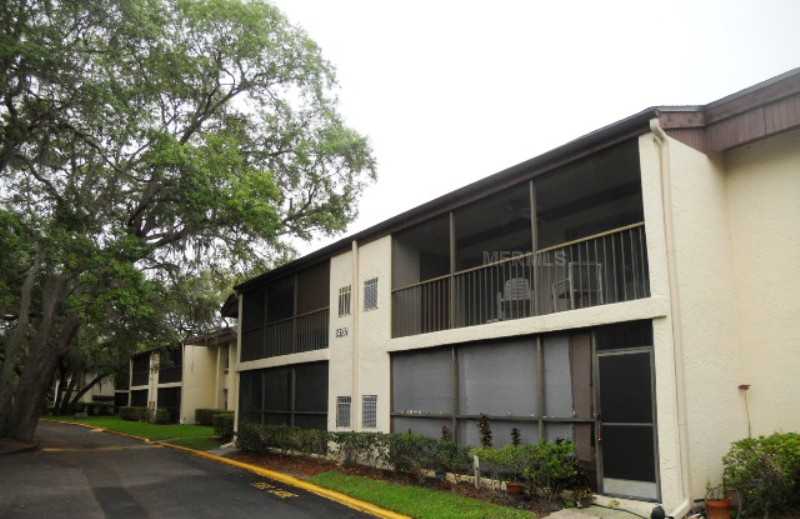 14107 Mossy Glen Ln Apt 103, Tampa, Florida  Main Image