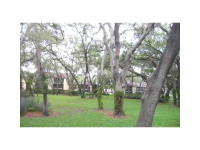 14107 Mossy Glen Ln Apt 103, Tampa, Florida  Image #6418646