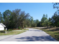 19465 Sw 98th Place Rd, Dunnellon, Florida  Image #6549109