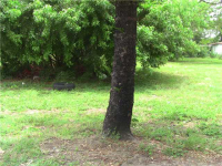 17020 SW 104 AV, Perrine, Florida Image #6552477