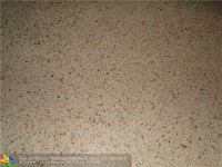 2726 ADAMS ST, Hollywood, Florida Image #6852401