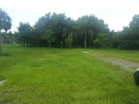 5305 State Road 29 S # 80, Labelle, Florida  Image #6913848