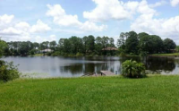 866 Lake Betty Dr, Lake Placid, Florida  Image #6919953