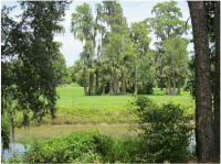 4004 Golfside Dr, Orlando, Florida  Image #6984896