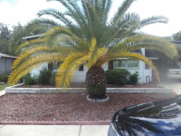 11415 CAUSEWAY BLVD, New Port Richey, FL Image #7086884