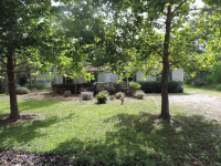 photo for 81 Holly Pines Cir